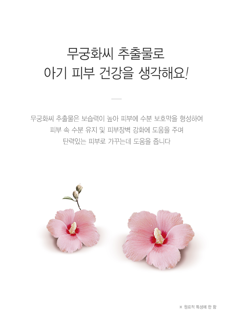 3 추출물.jpg